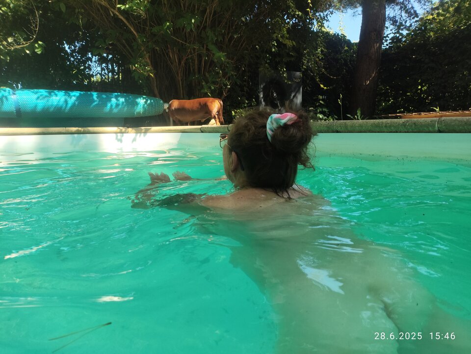 1000019933.jpg - jali