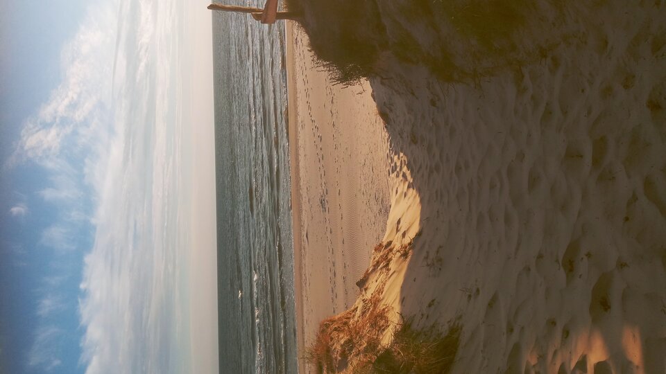 20250629_053312_HDR.jpg - Mrowka72