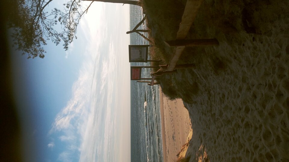 20250629_053303_HDR.jpg - Mrowka72