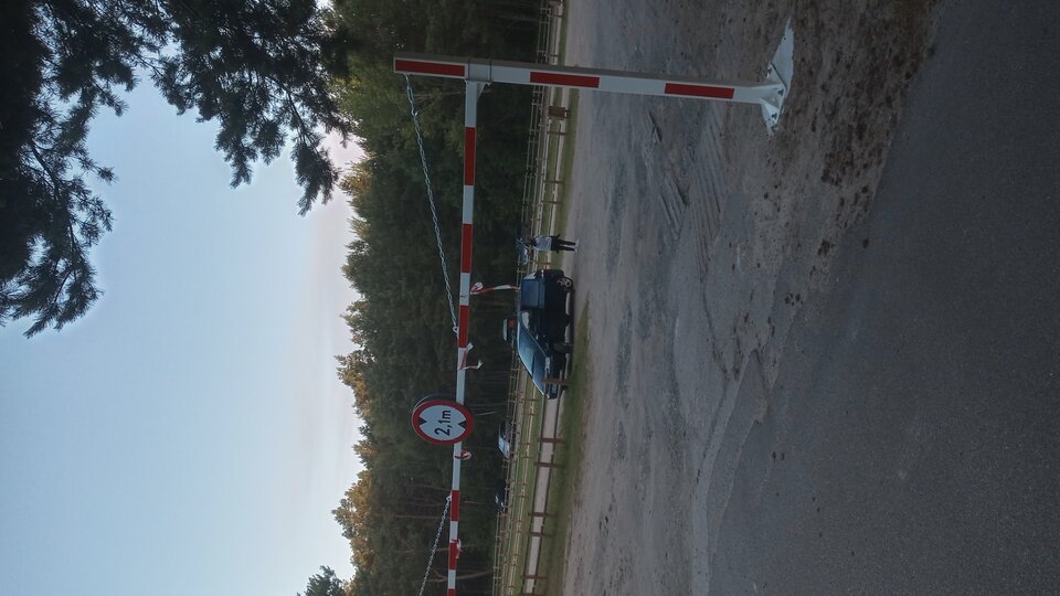 20250629_052601_HDR.jpg - Mrowka72