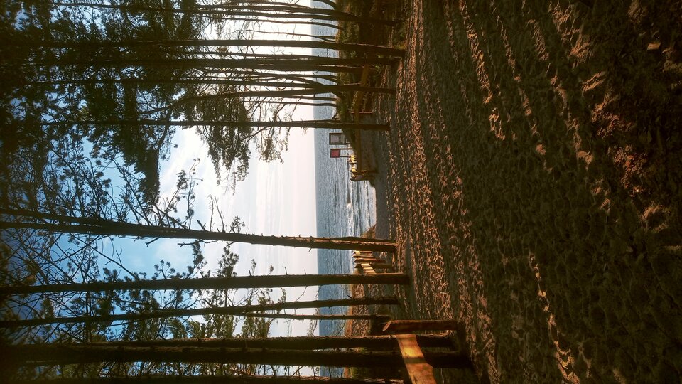 20250629_053245_HDR.jpg - Mrowka72