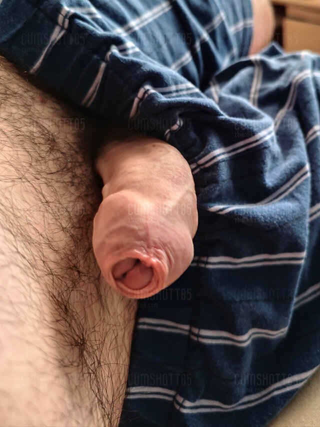 cumshott85