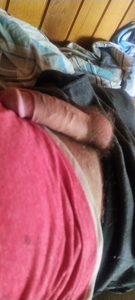 1000020228.jpg - Seb900