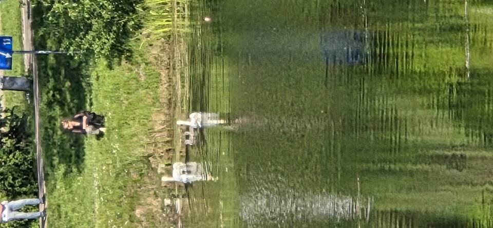 1000035537.jpg - Pawel7508