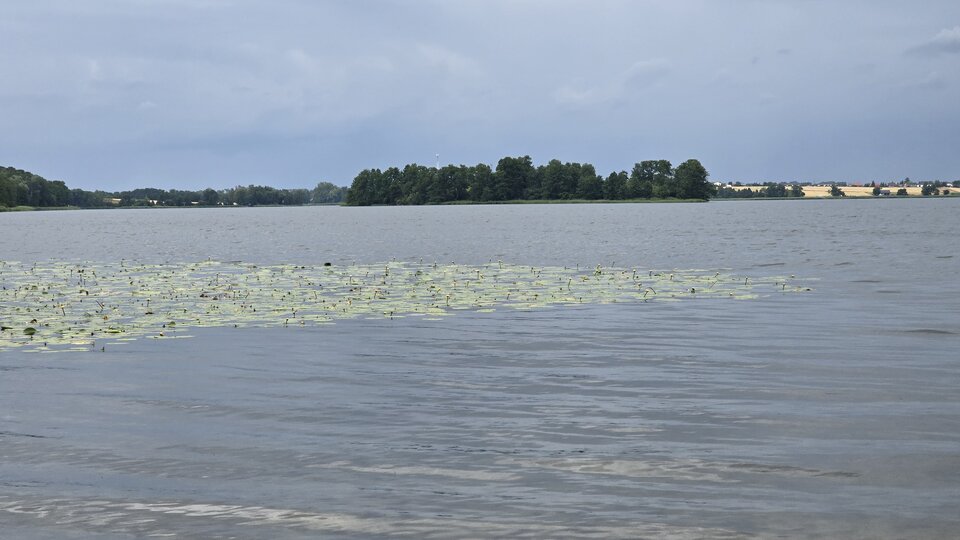 1000027357.jpg - Jarek6k