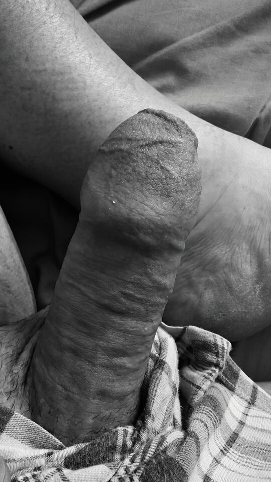 1000001723.jpg - fajnykutasek25