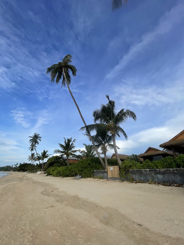 Brakuje tylko Was 🙃☀️🌴 - PPP1980bar