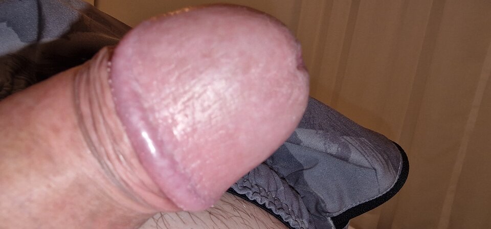 17512072854724263949161602843543.jpg - robin266