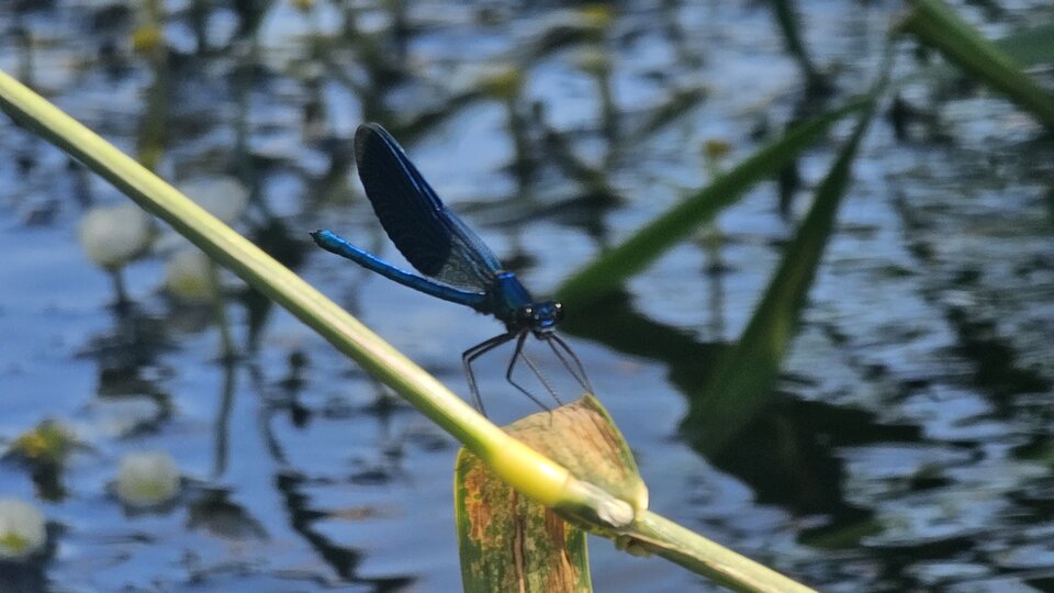 Oława - Rozkosznymasaz