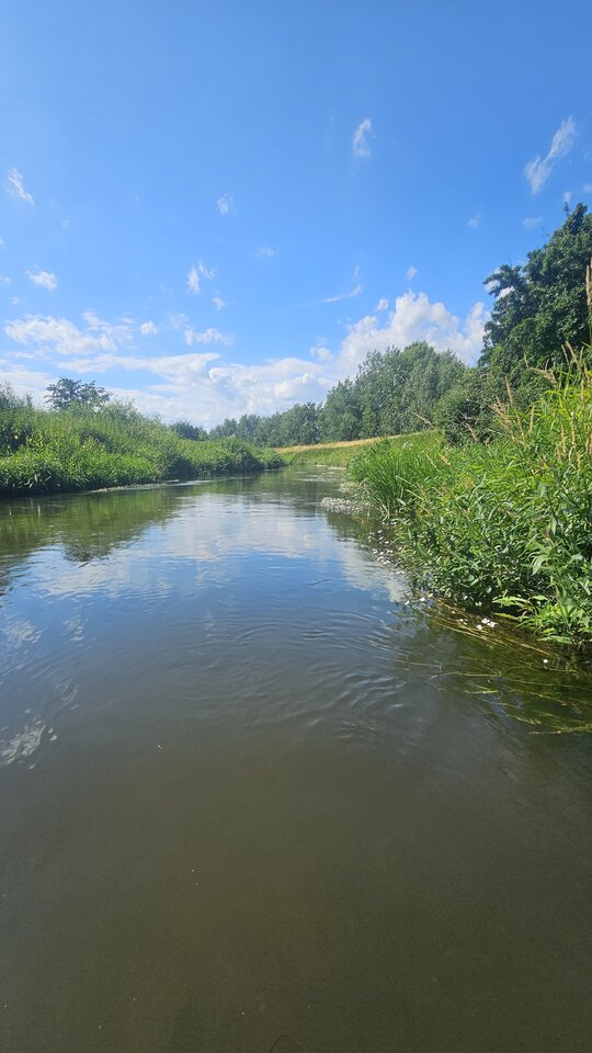 Oława - Rozkosznymasaz