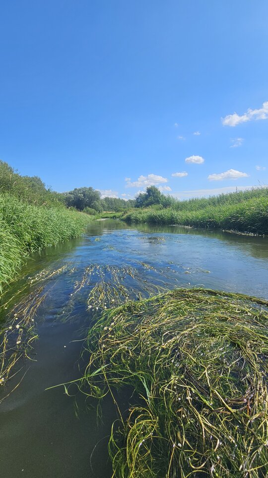 Natura - Rozkosznymasaz