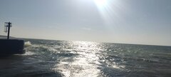 IMG_20250629_180102.jpg