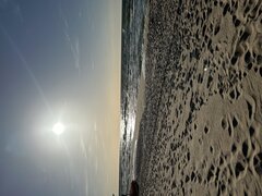 IMG_8366.jpeg