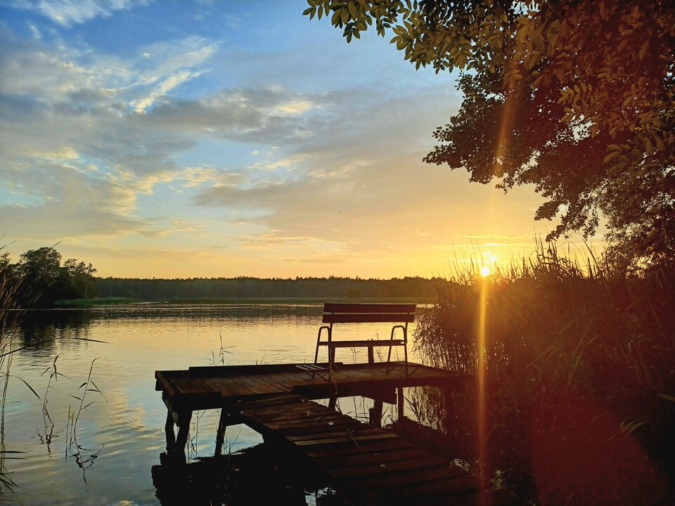 20250629_204848.jpg - Skorpion750