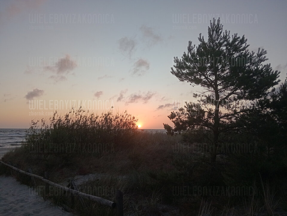 IMG20250630042315.jpg - WielebnyiZakonnica