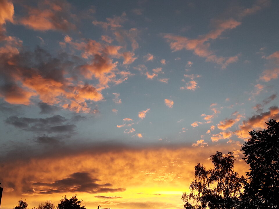 20200822_200538.jpg - Dam42On