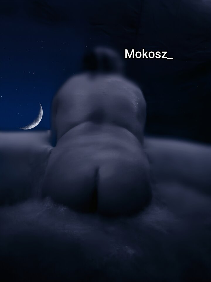 B - Mokosz_