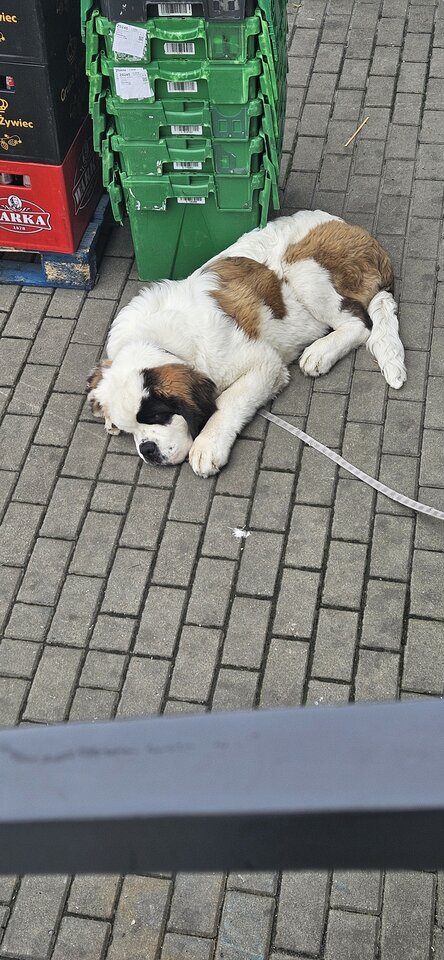 20250606_102956.jpg - reporter13