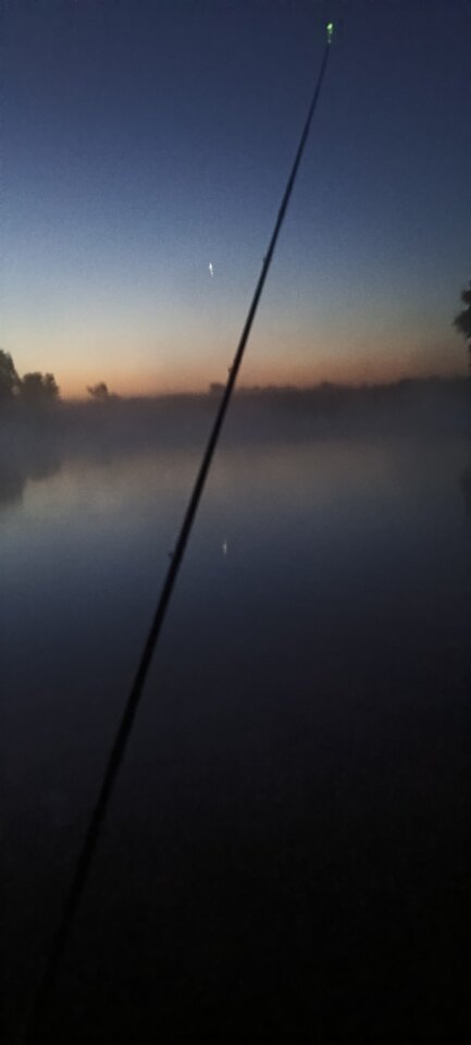 1000000542.jpg - maxsii990