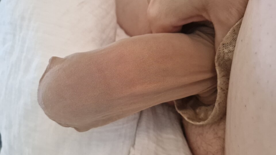 1000047732.jpg - eoparka