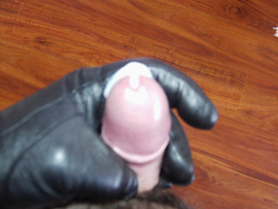 PIC00029.JPG - stojo