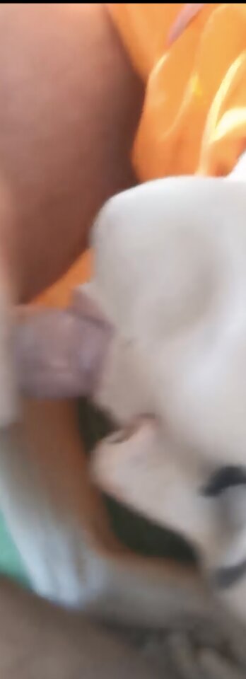 1000049147.jpg - Fetyszysci12