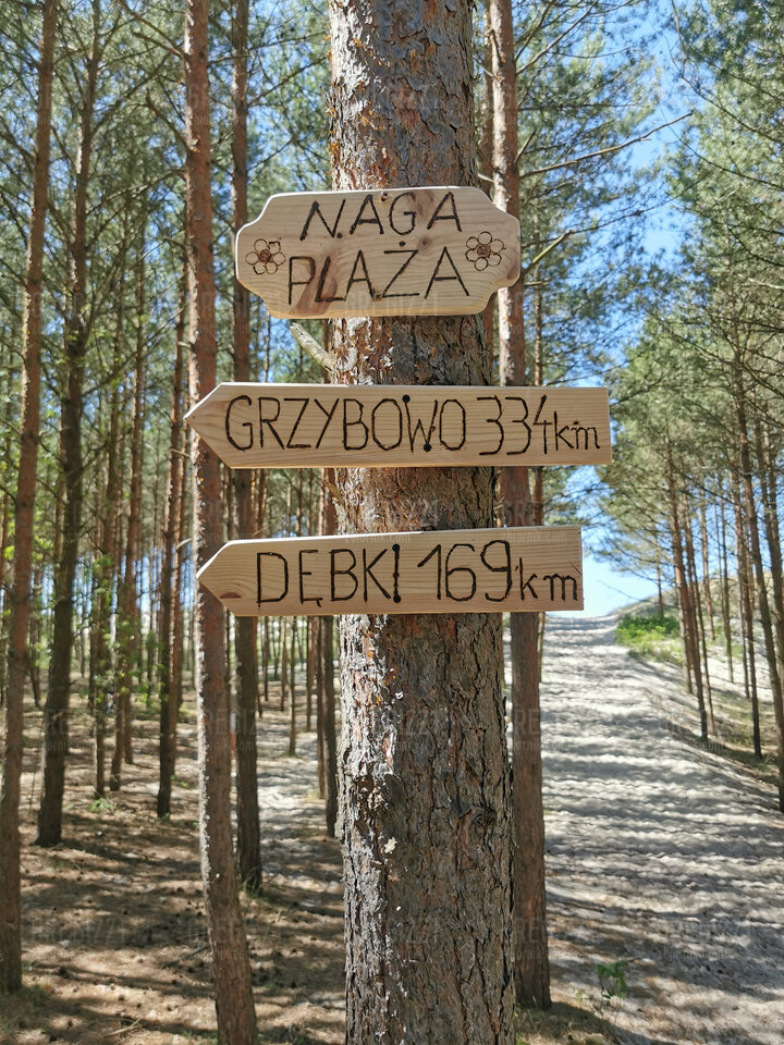Piaski - gregi221