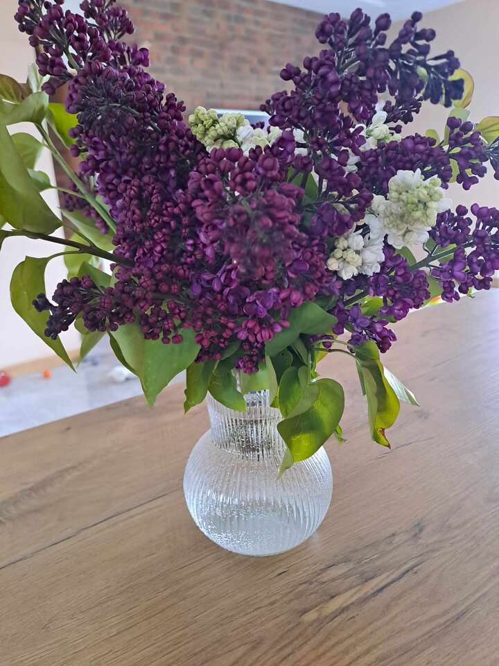 1000005272.jpg - BellaCiao3