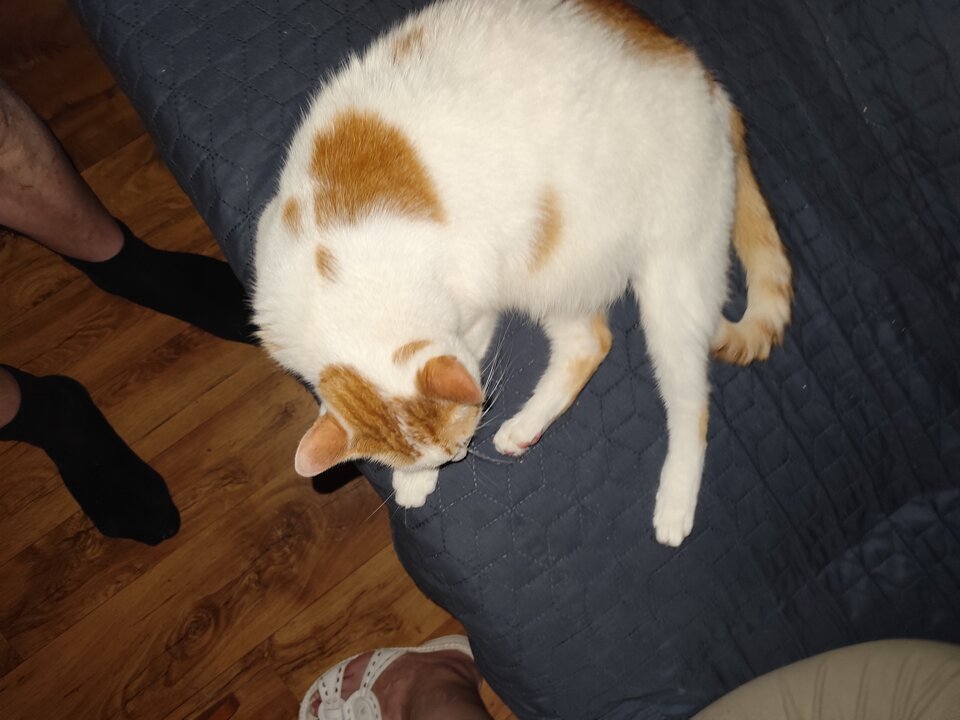 1000001216.jpg - RPGfan