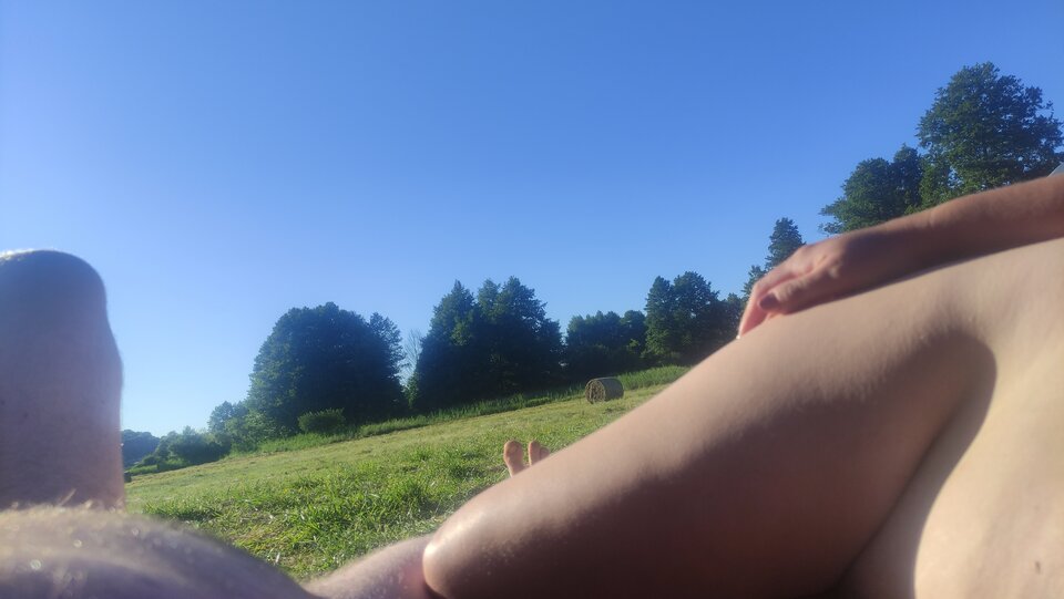 IMG_20250702_184516.jpg - panstwobloom