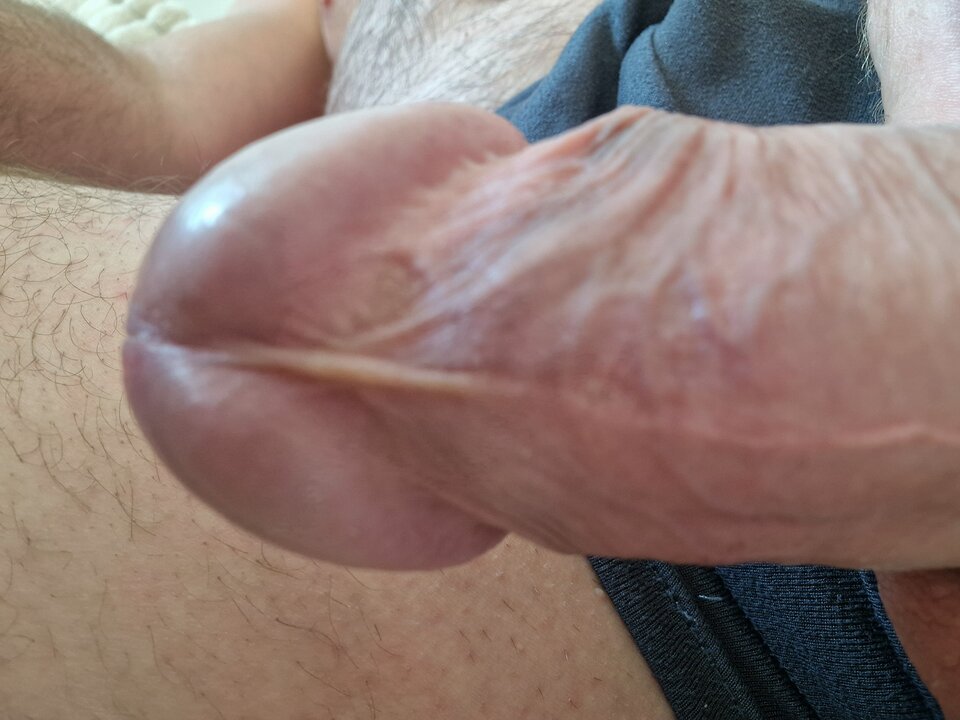 17515255298642766137480962834434.jpg - robin266