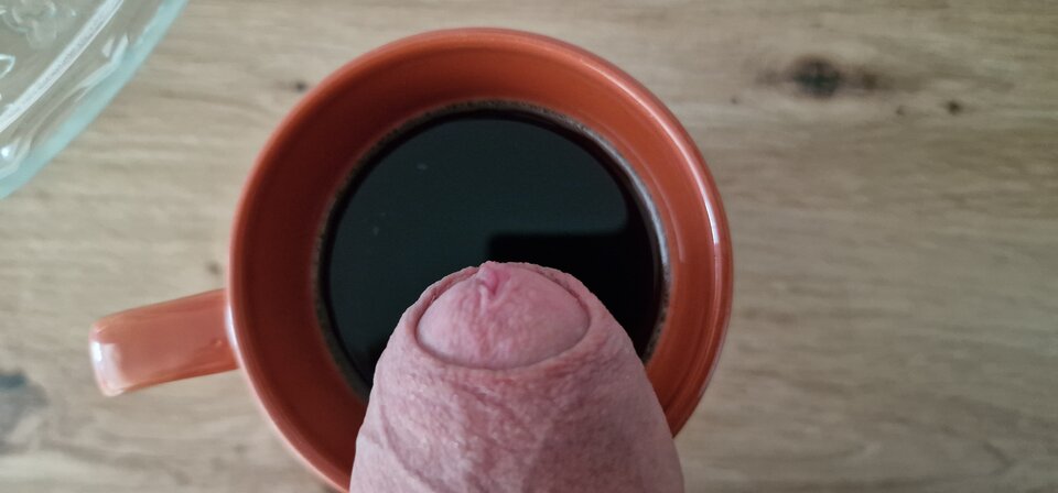 17515261537335254170180456838616.jpg - robin266