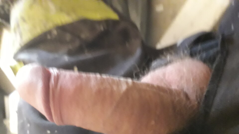 20250703_095258.jpg - 11igor11