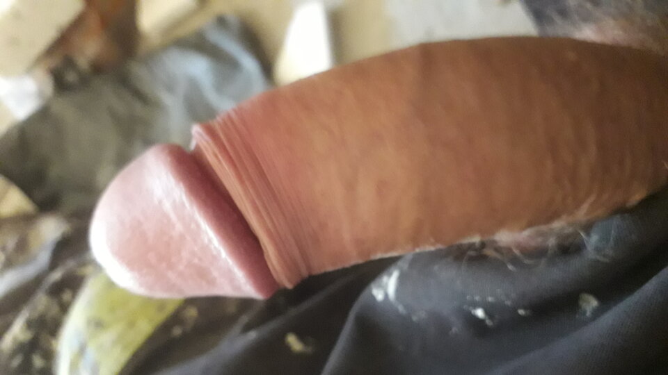 20250703_095249.jpg - 11igor11