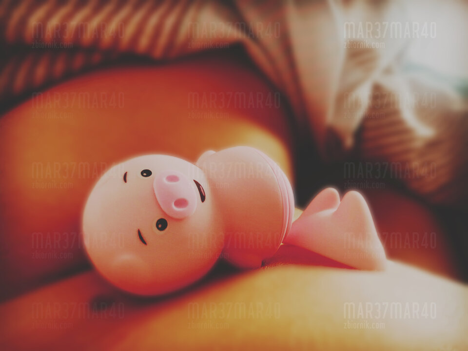 🐽🐽🐽 - Mar37Mar40