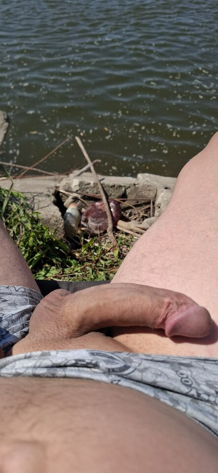 1000023168.jpg - Witwini