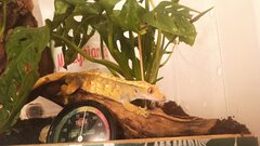 Zdjęcie WhatsApp 2025-07-03 o 09.07.47_0ca2fedb.jpg