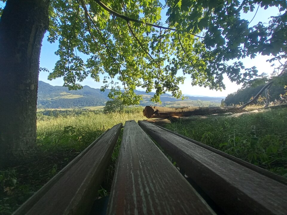 20250703_182253.jpg - NicponieFest