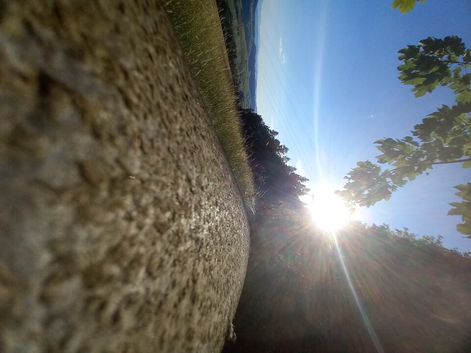 20250703_182328.jpg - NicponieFest