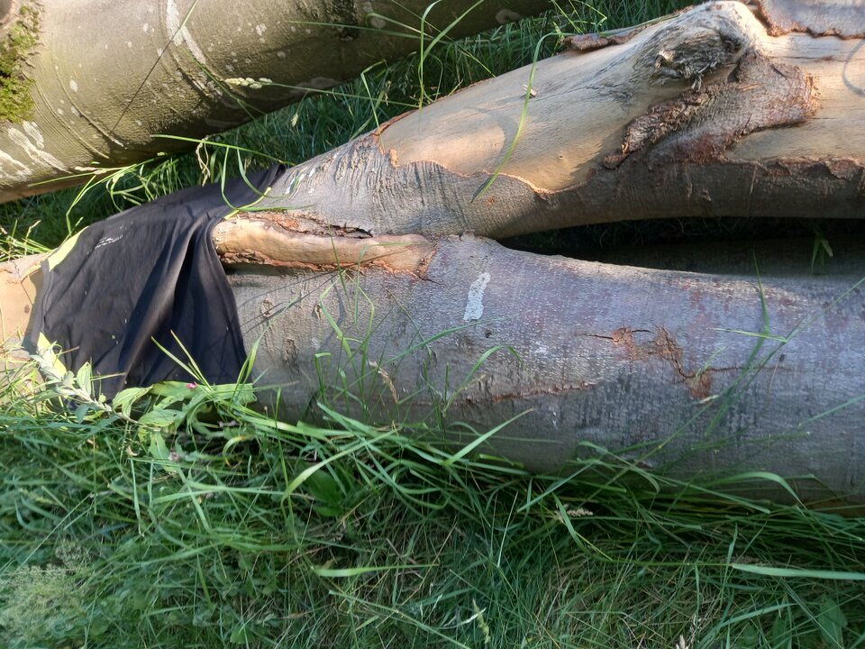 20250703_182605.jpg - NicponieFest