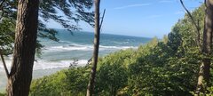 IMG_20250723_171354.jpg
