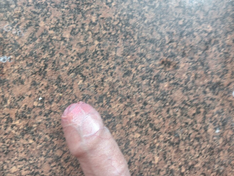 17516116222006543740453576277266.jpg - Hose198787