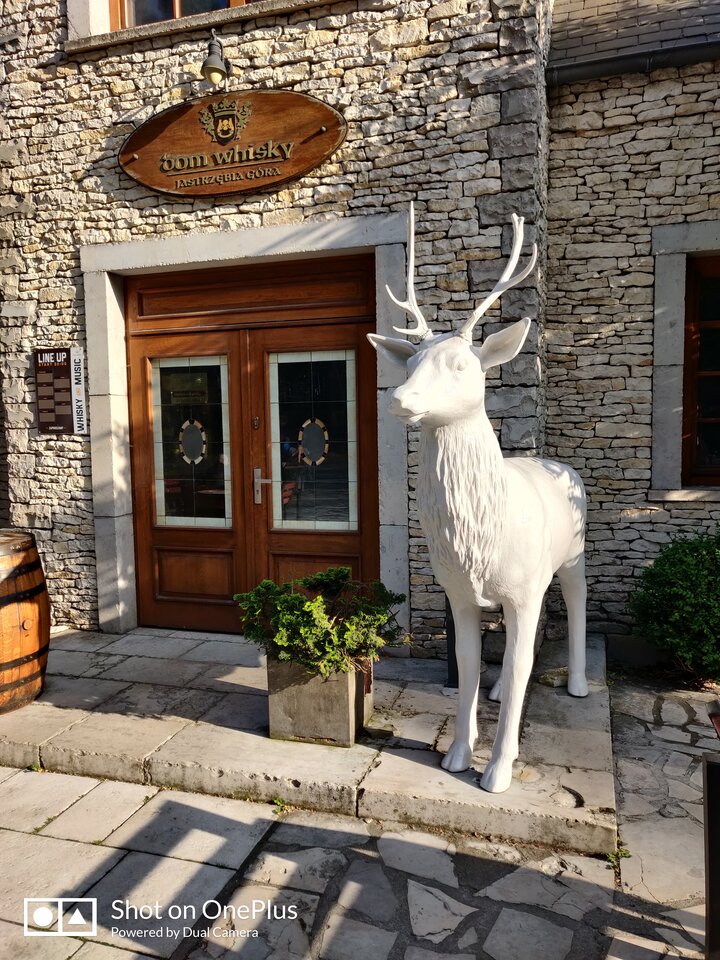 IMG_20230624_183339.jpg - maridamu1963