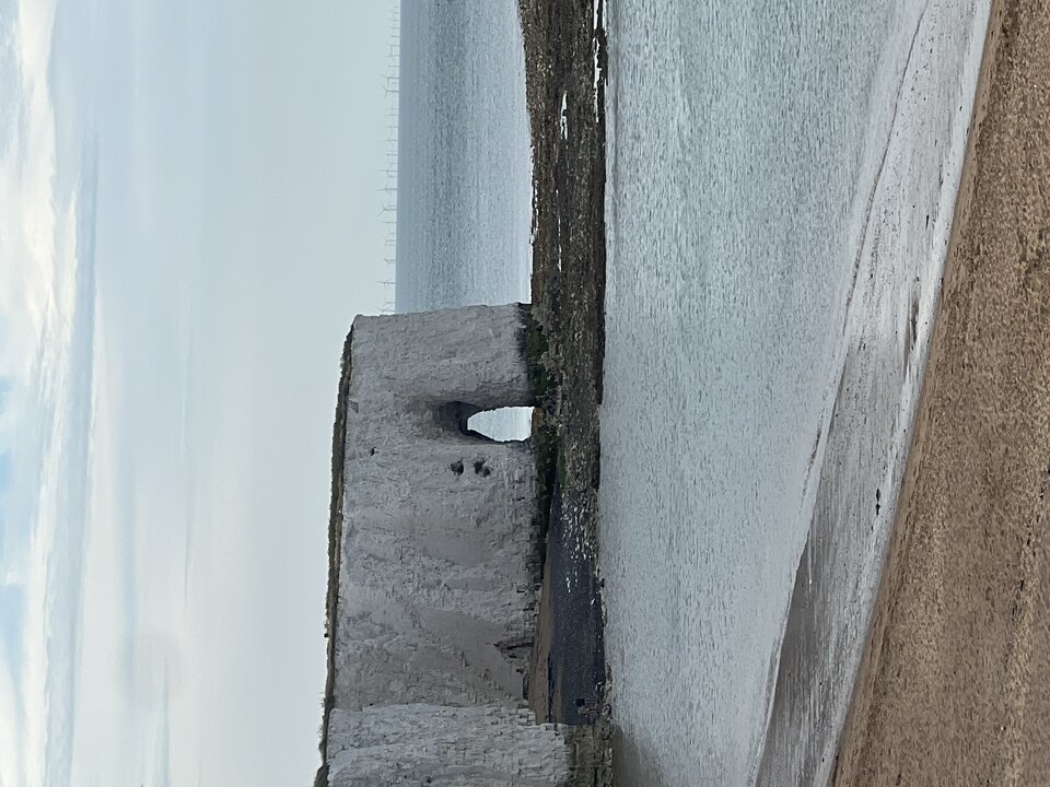 IMG_5600.jpeg - Czekoladowy123