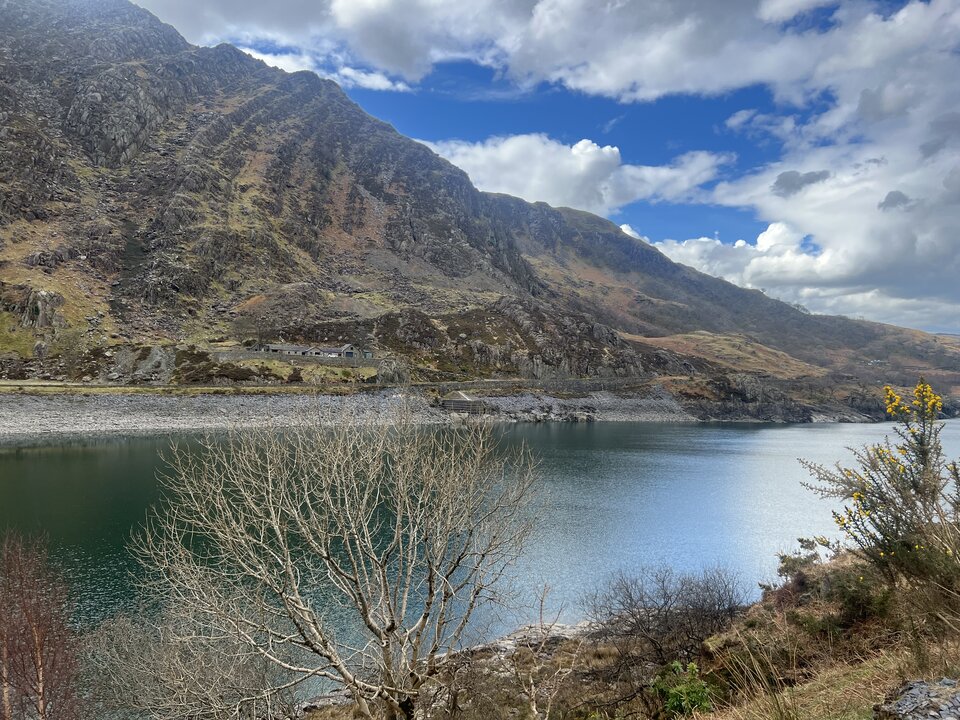 IMG_5347.jpeg - Czekoladowy123