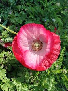 Miłego weekendu 🌞