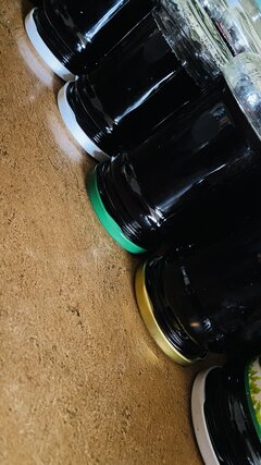IMG_5959.jpeg