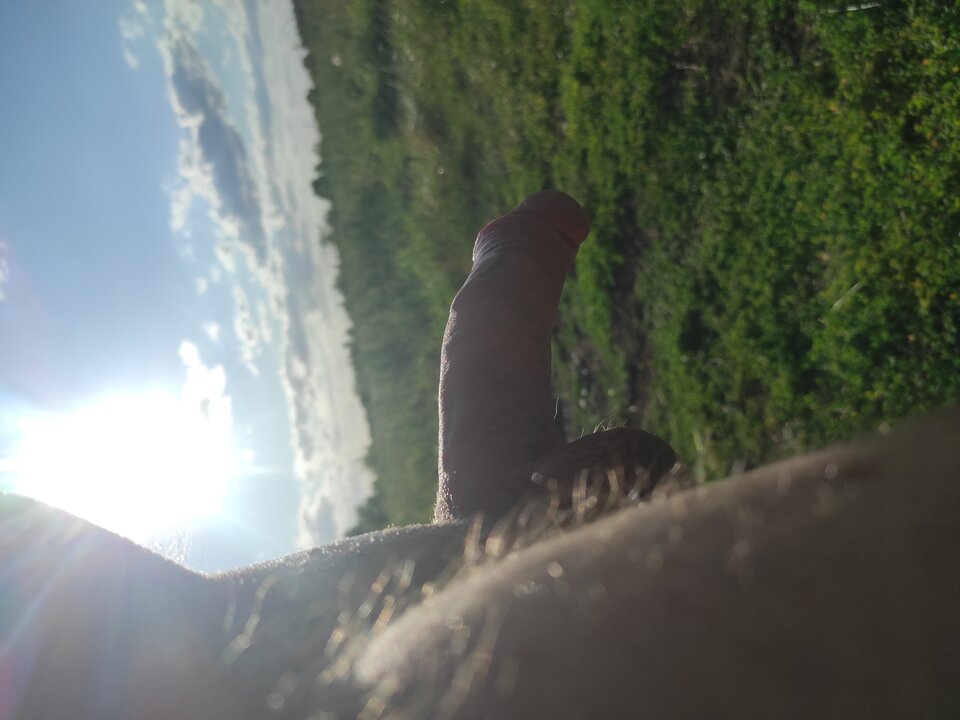 17516472322414755046325295605465.jpg - Giwera86