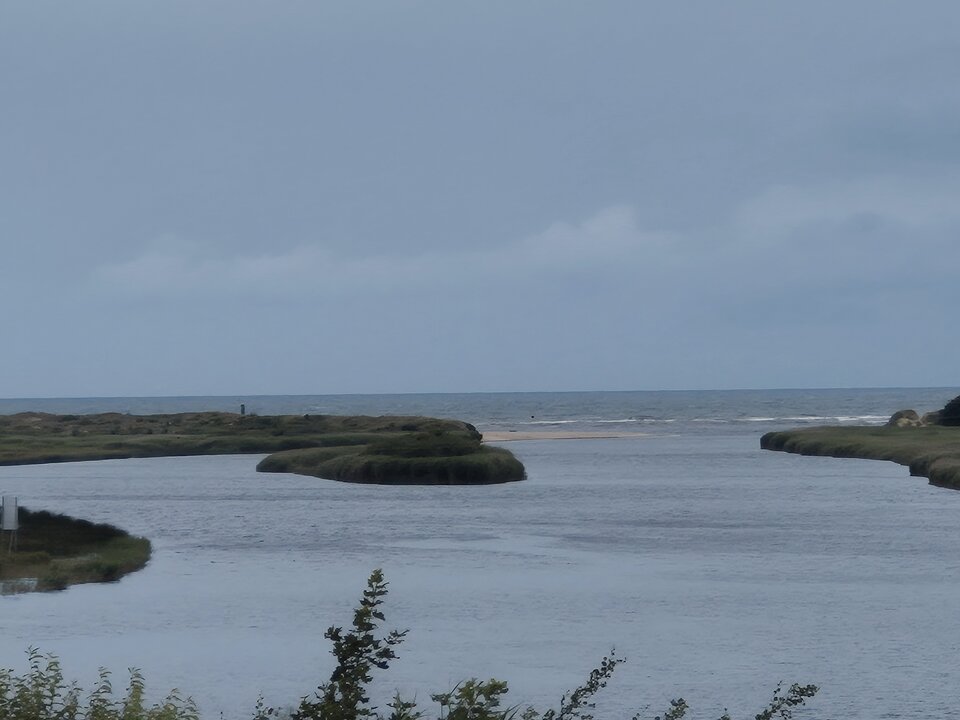 1000037571.jpg - Miniek234