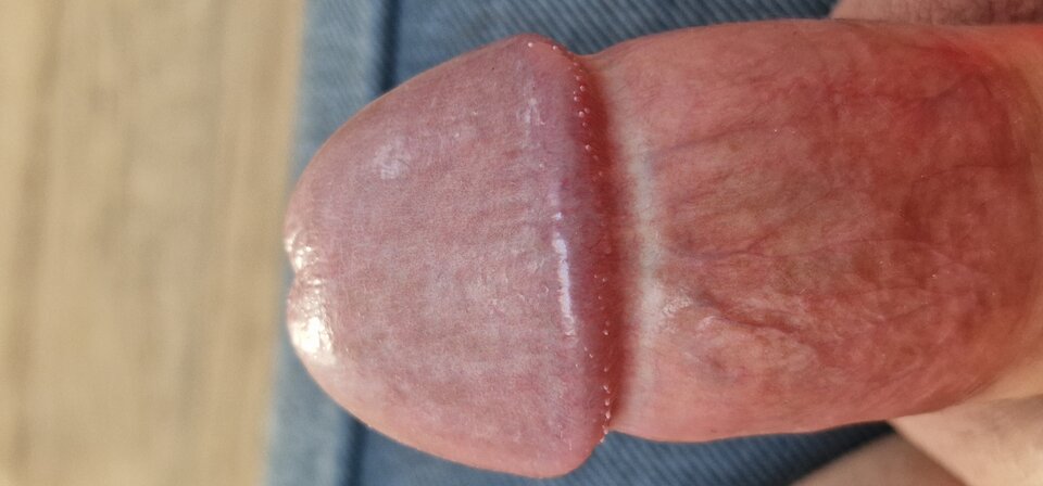 17516946624582622139540614979767.jpg - robin266